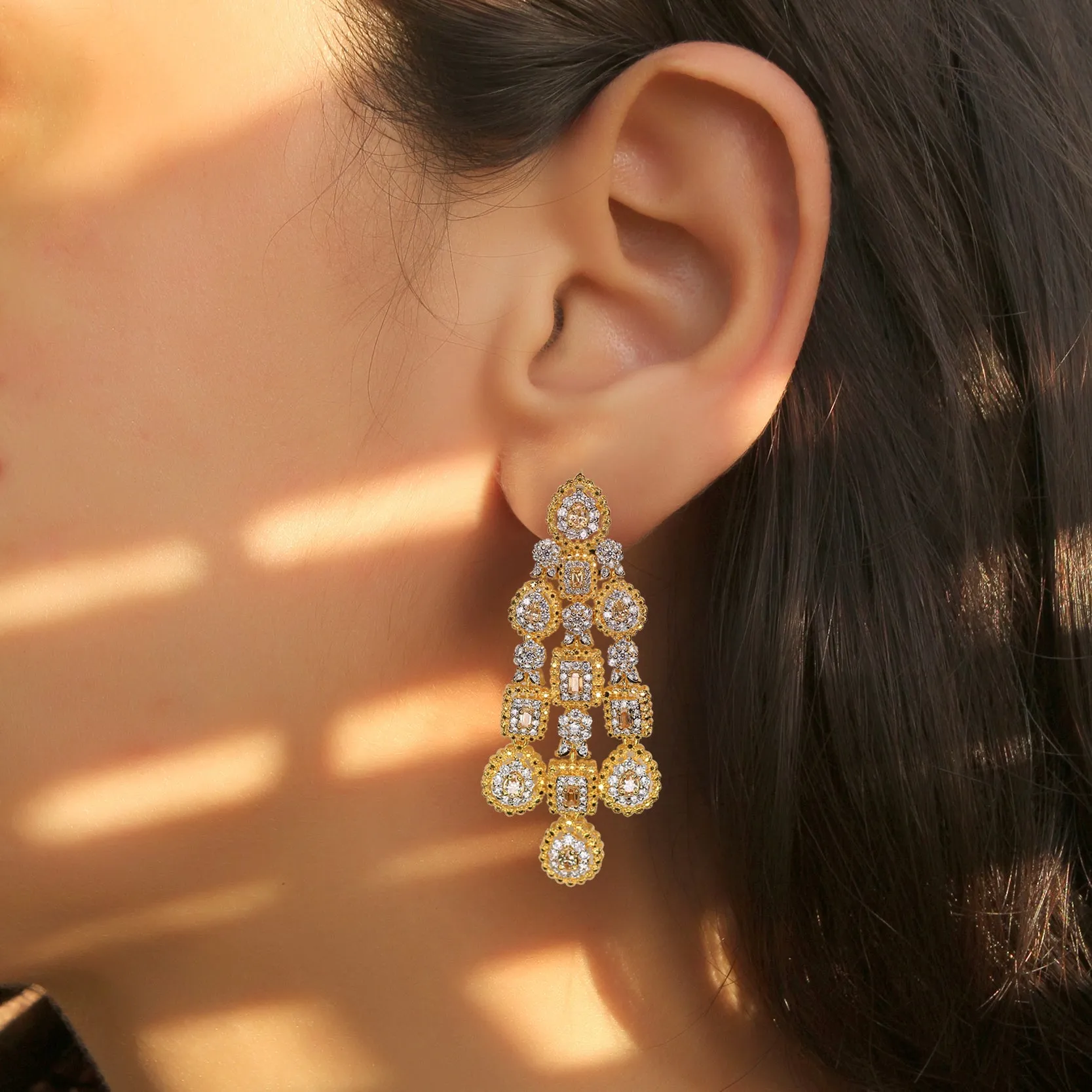 Earrings - E1367